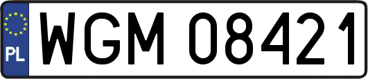 WGM08421