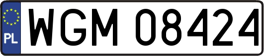 WGM08424