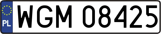 WGM08425