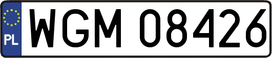 WGM08426