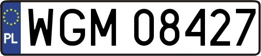 WGM08427