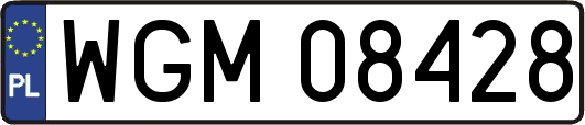 WGM08428