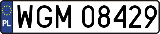 WGM08429