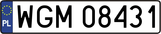 WGM08431