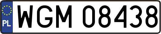 WGM08438