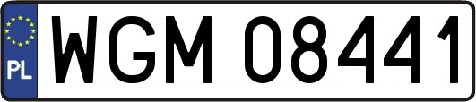 WGM08441