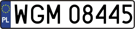 WGM08445