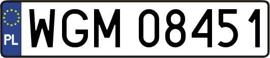 WGM08451