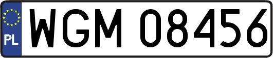 WGM08456