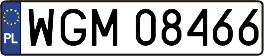 WGM08466