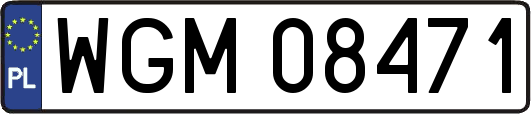 WGM08471
