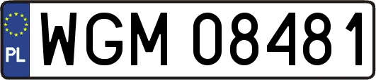 WGM08481