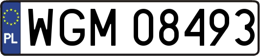 WGM08493