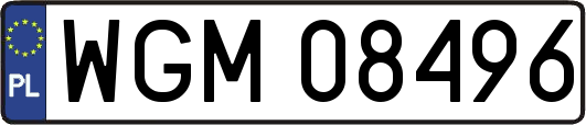 WGM08496