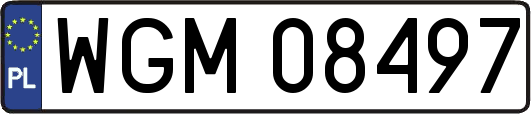 WGM08497