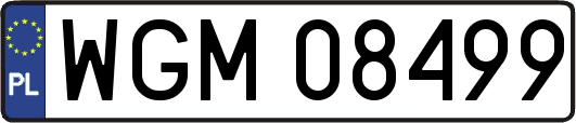WGM08499