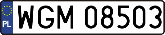 WGM08503