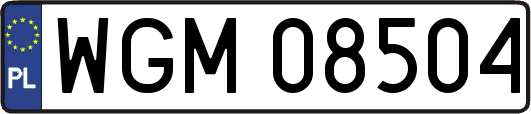 WGM08504