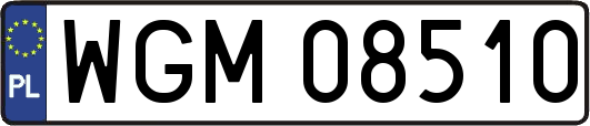WGM08510