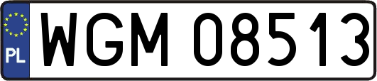 WGM08513