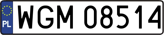 WGM08514