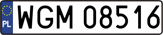 WGM08516