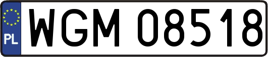 WGM08518