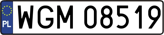 WGM08519