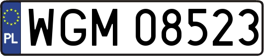 WGM08523