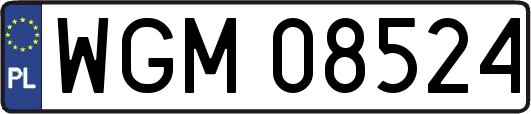 WGM08524