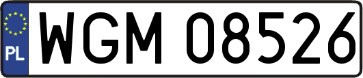 WGM08526