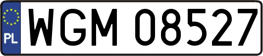 WGM08527