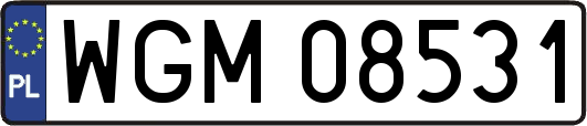 WGM08531