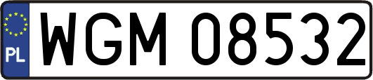 WGM08532