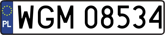 WGM08534