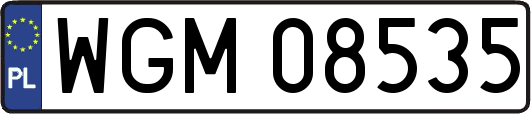 WGM08535