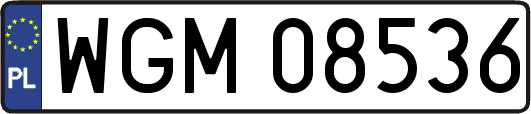 WGM08536