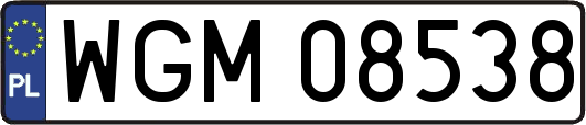 WGM08538