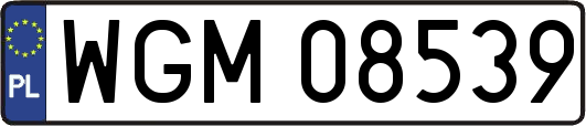 WGM08539