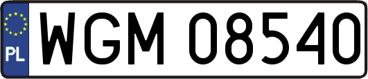 WGM08540