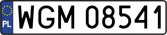 WGM08541