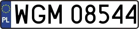 WGM08544