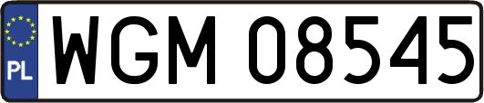 WGM08545
