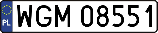 WGM08551