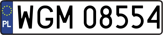 WGM08554