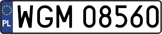 WGM08560