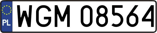 WGM08564