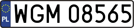 WGM08565