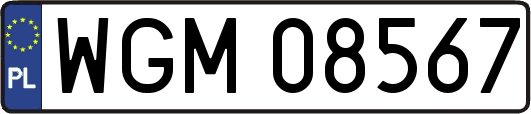 WGM08567