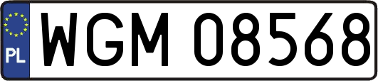 WGM08568